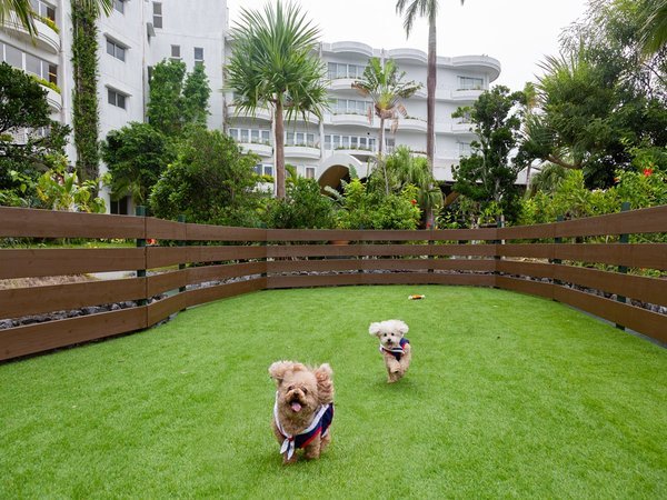 沖縄かりゆしビーチリゾート・オーシャンスパ ドッグラン